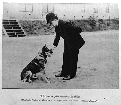 Odevzd�v�n� p�ine�en�ho kozl�ku