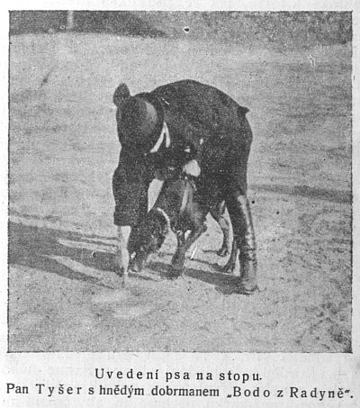 Uveden� psa na stopu