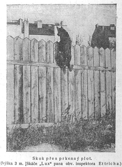 Skok p�es prkenn� plot