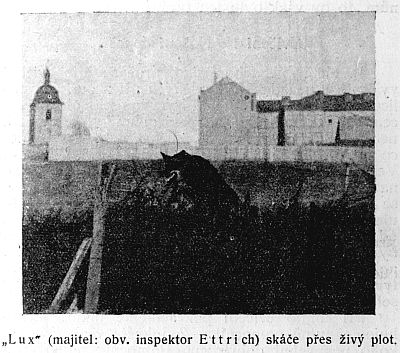 Lux sk��e p�es �iv� plot.