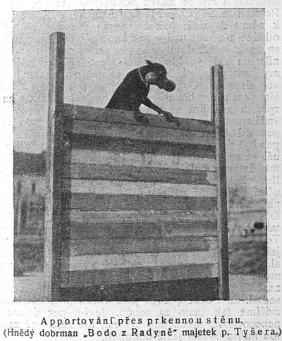 Apportov�n� p�es prkennou st�nu