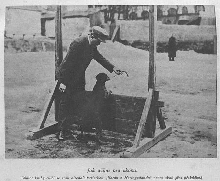 Jak u��me psa skoku