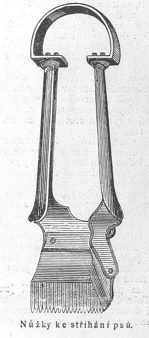 N��ky ke st��h�n� ps�