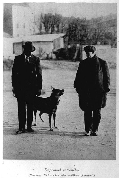 Doprovod zat�en�ho