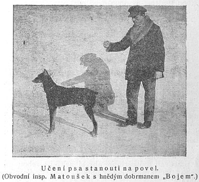 U�en� psa stanouti na povel