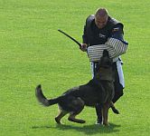 Mistrovstv� �R IPO 2013