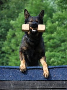 Aport p�es ��ko...