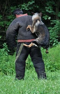 Hladk� zadr�en�