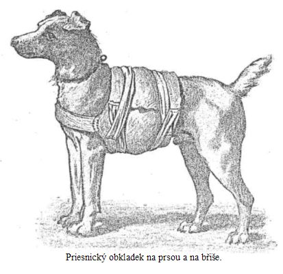 Priesnick� obkladek na prsou a na b�i�e.