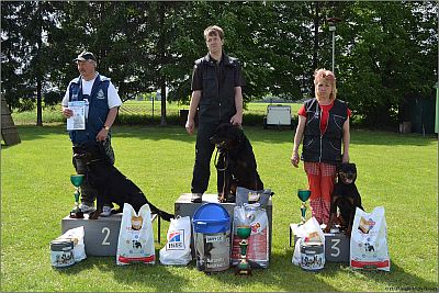 Stupn� v�t�z� IPO 1