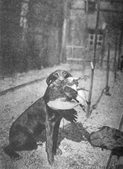 "Dora Litomy�l" s prvou ko�ist� se zem� sebranou a p�inesenou.