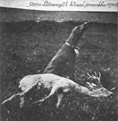 Dora hl�s� prvn�ho - 1922