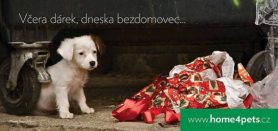 Pov�no�n� bezdomovci