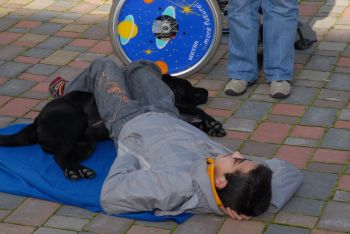 Canisterapie - polohov�n�