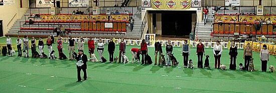 N�stup v�ech sout��c�ch