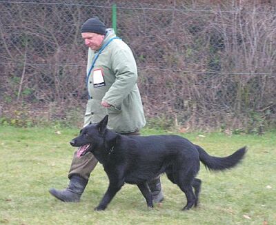 Vladim�r Sou�ek, Halt, ZKO Horom��ice